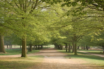 Richmond Park