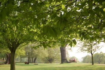 Richmond Park