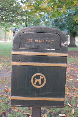 Dog waste only